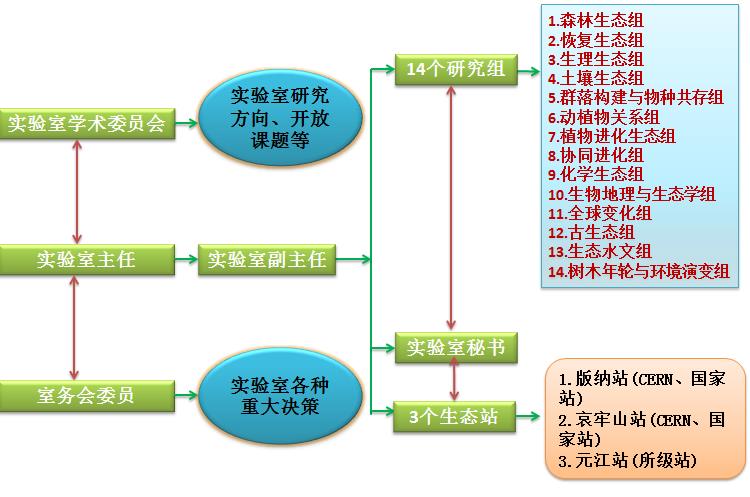 组织框架.jpg